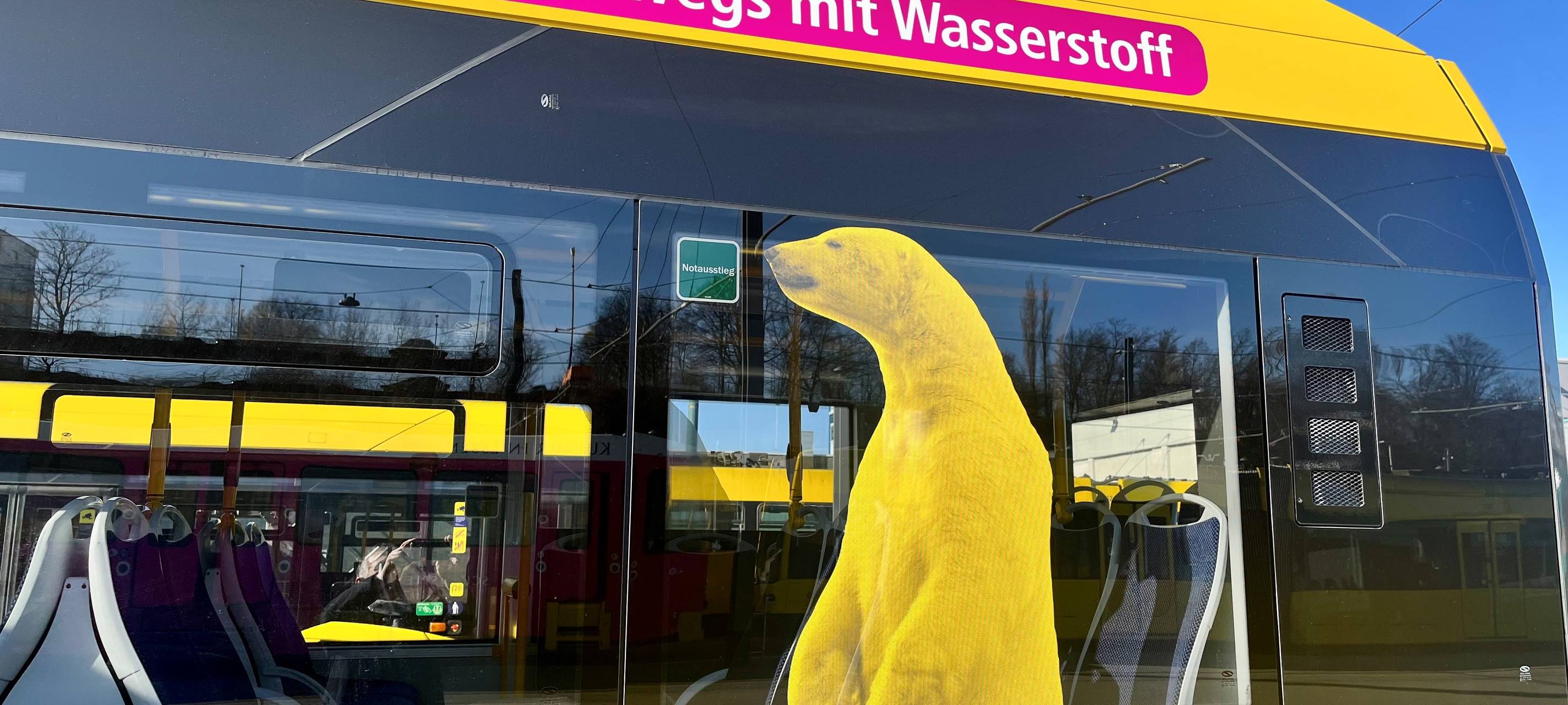 Neue Busse in Essen: Ruhrbahn fährt jetzt mit Wasserstoff