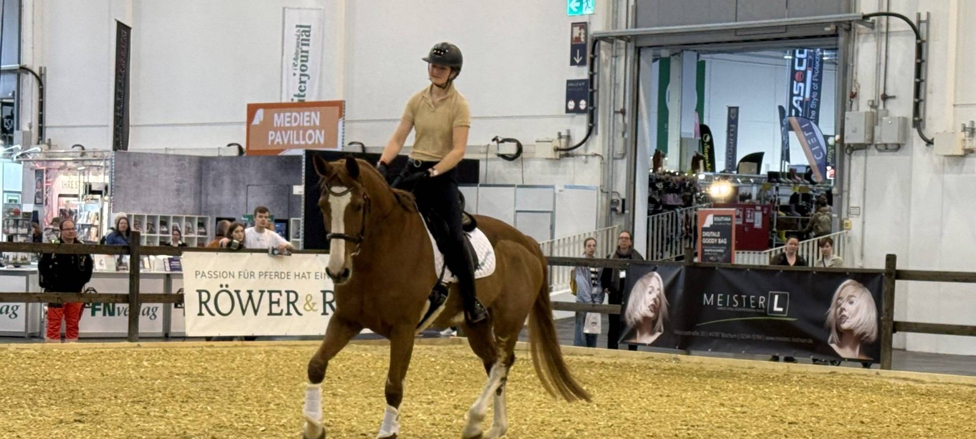 Reiterin auf einem Pferd