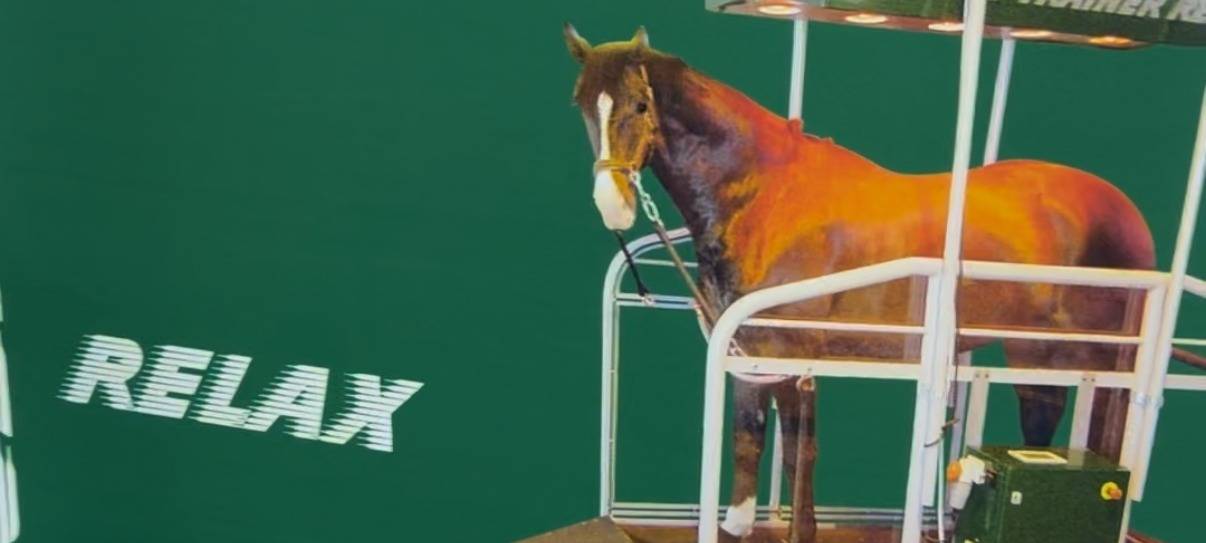 Pferdesolarium und Pferdespa