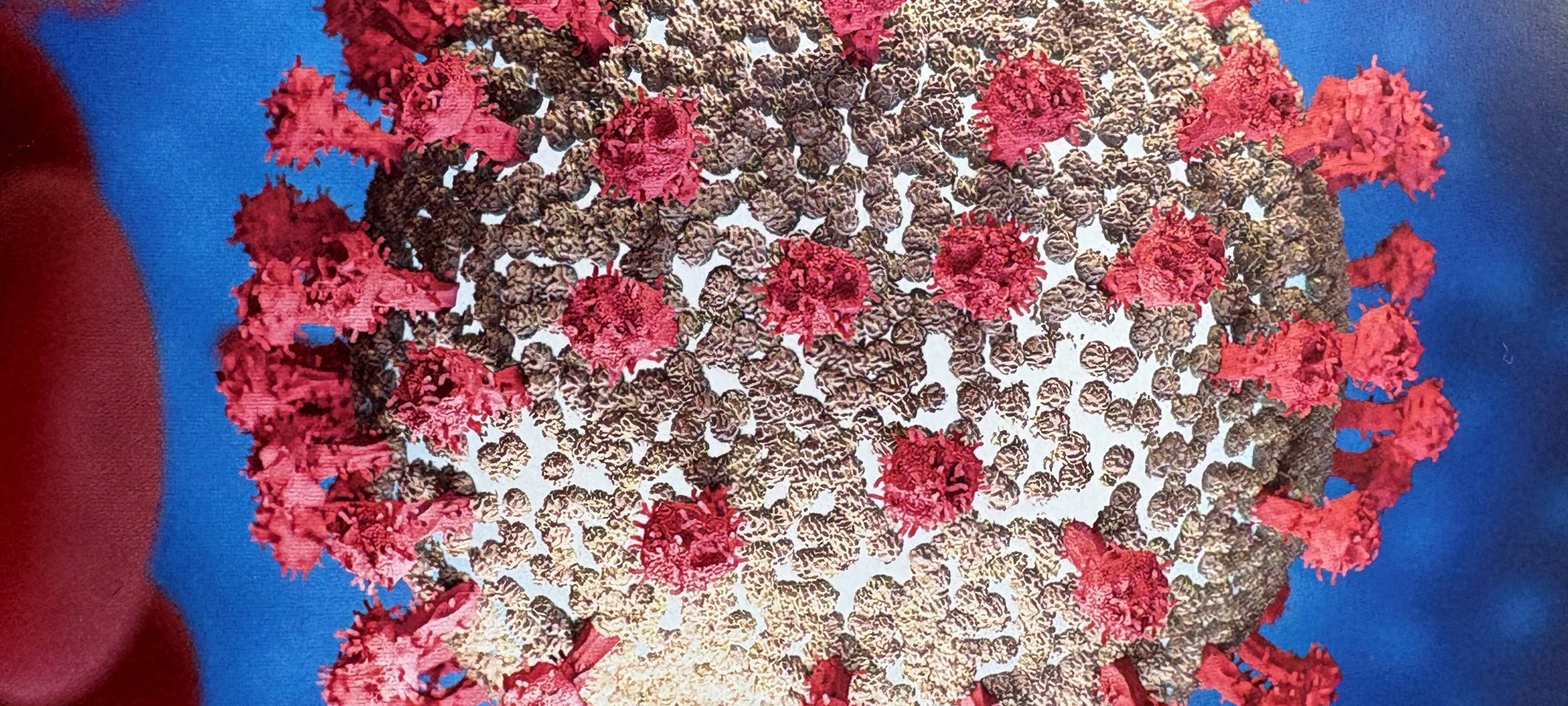 Stadt Essen stellt Pandemieplan vor: Fehler nicht wiederholen