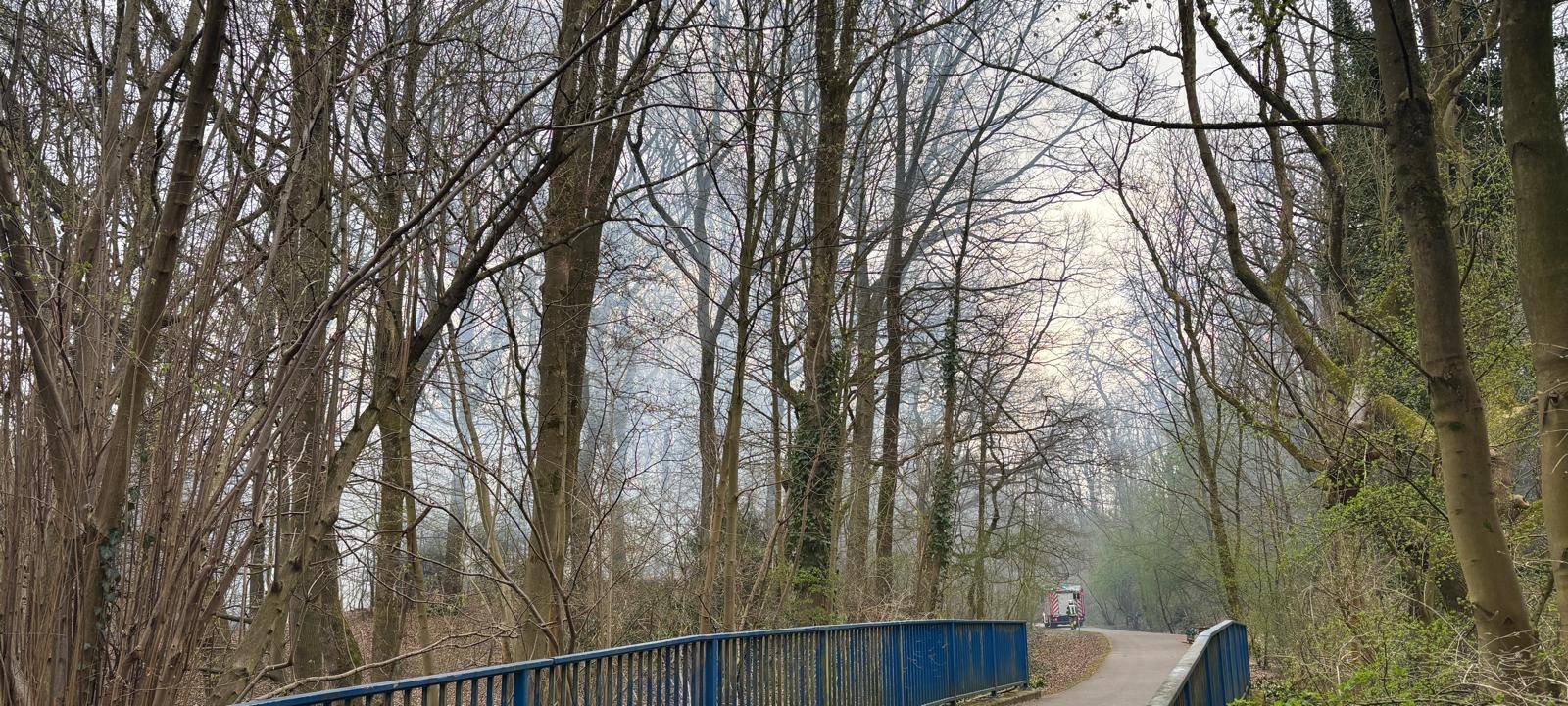 Waldstück in Essen brennt