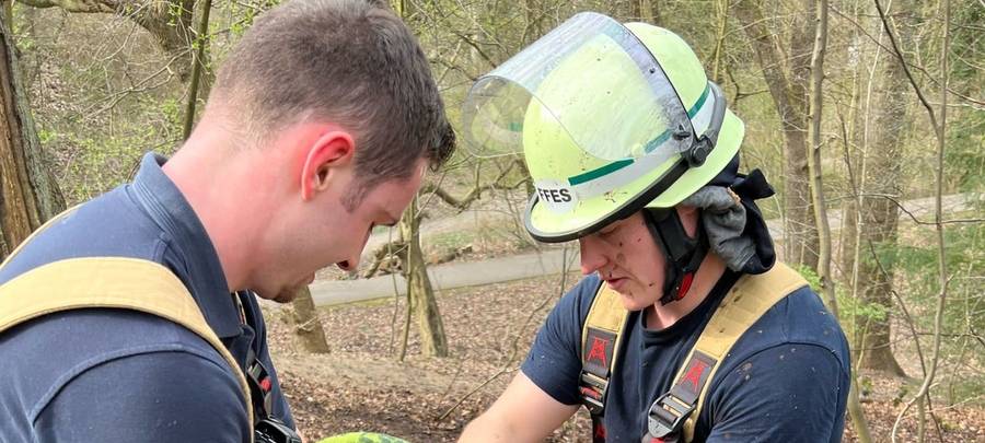 Waldstück in Essen brennt