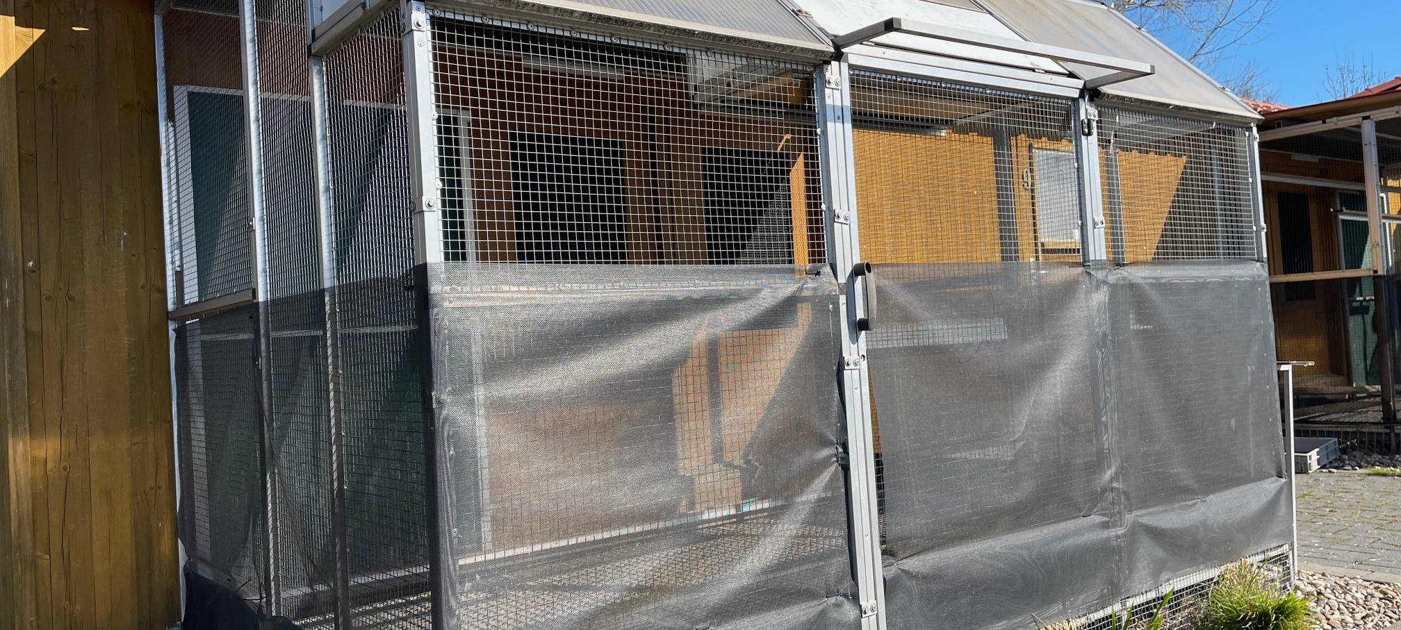 Wandern in Essen: Tag der Steige ist am 5. April