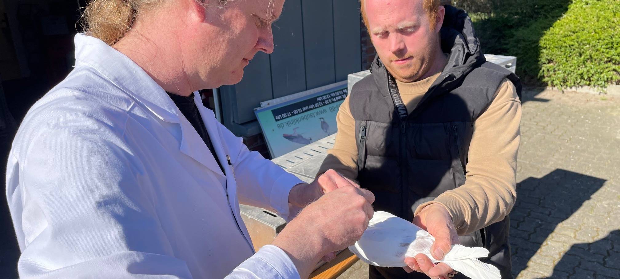 Wandern in Essen: Tag der Steige ist am 5. April