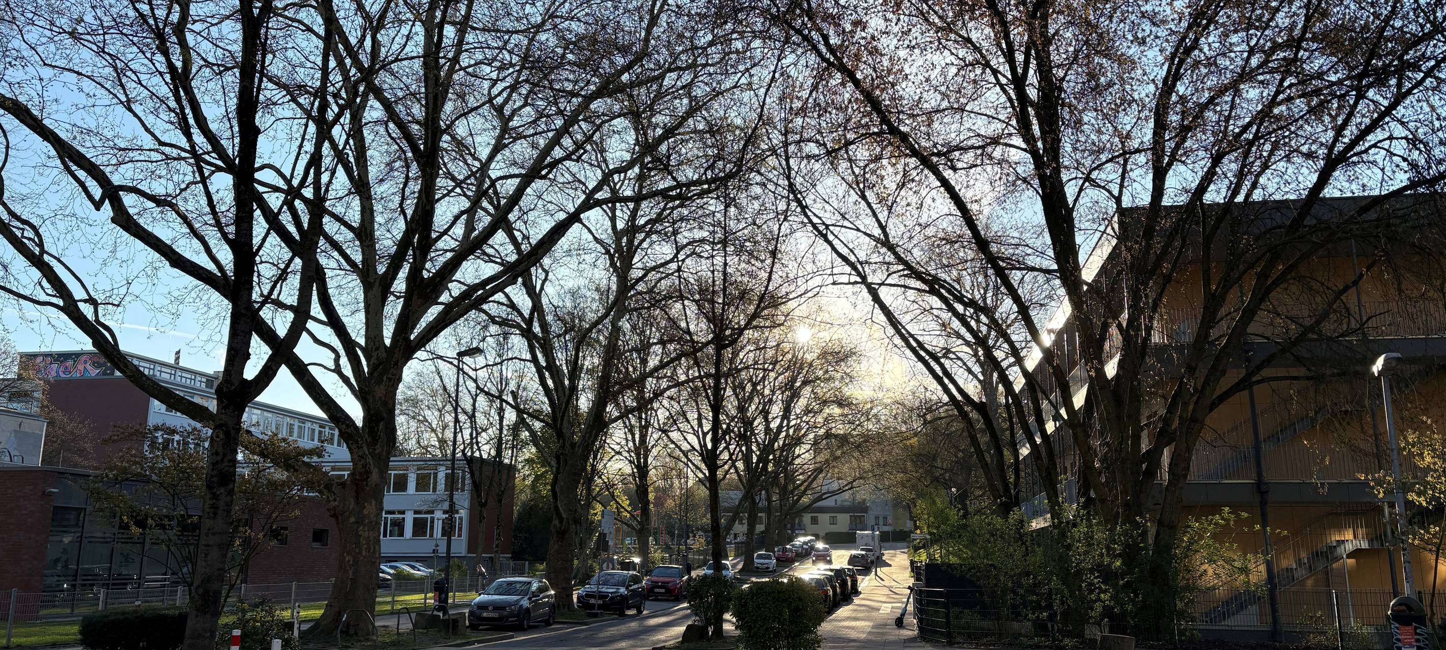 Chaos in Essen rund um Schulen - das will die Stadt ändern!