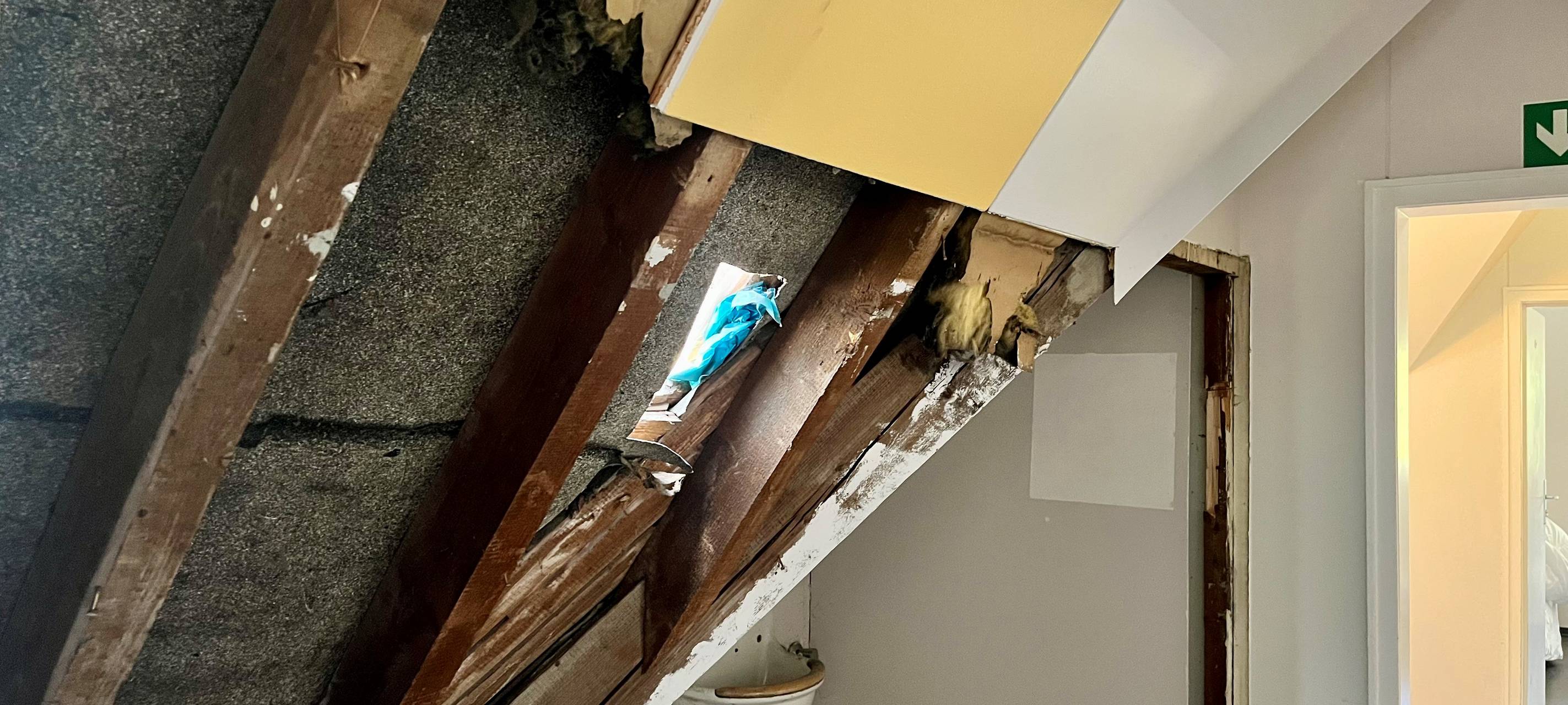 Beliebte Jugendherberge in Essen ohne Übernachtungen