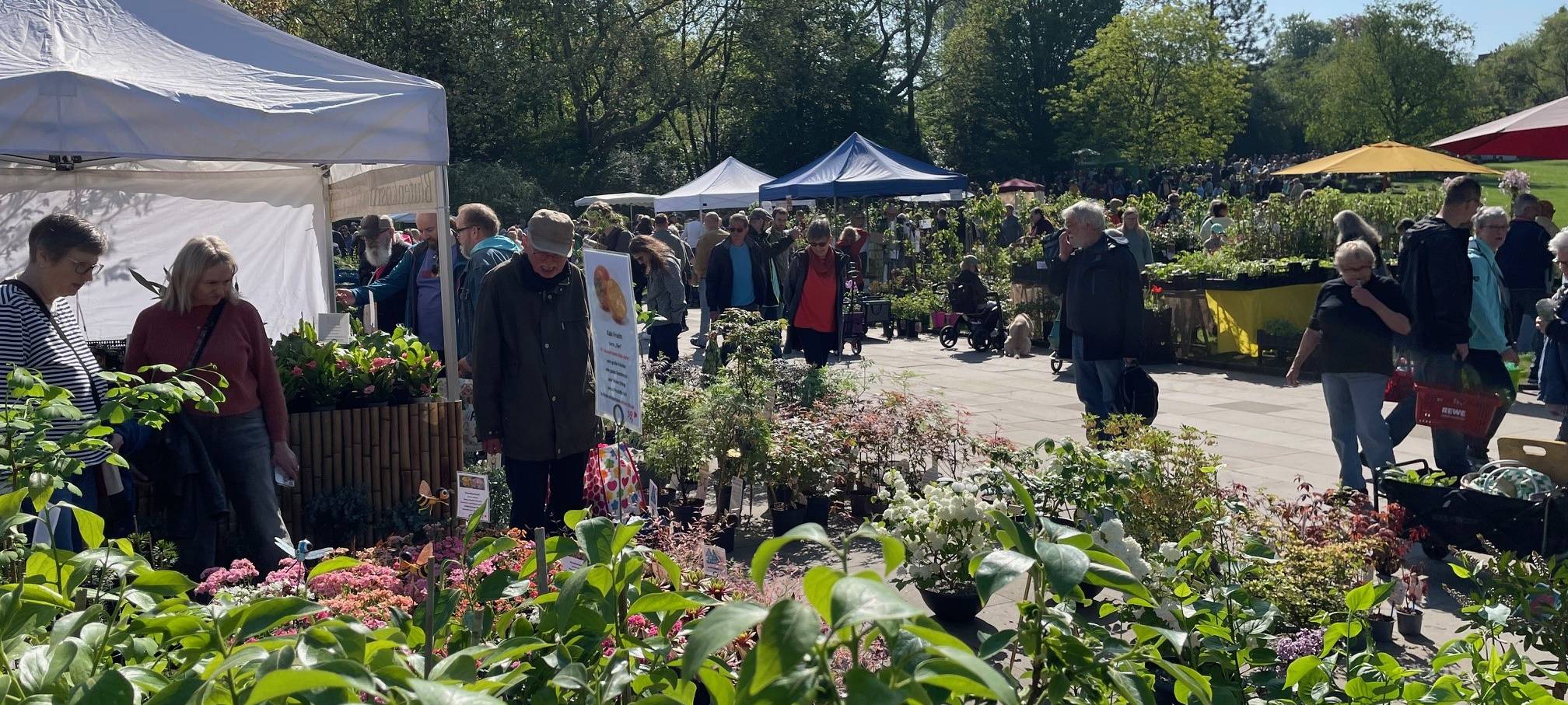 Markt in Essen verkauft wieder seltene Pflanzen