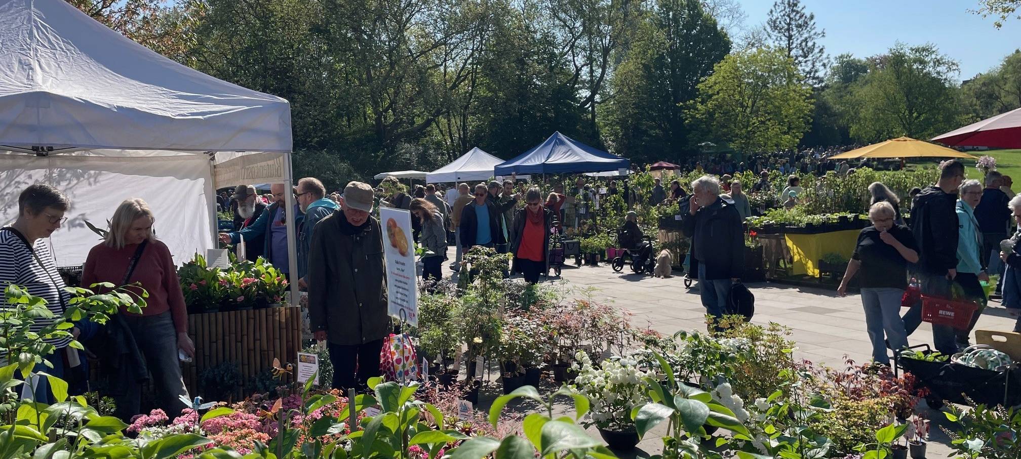 Markt in Essen verkauft wieder seltene Pflanzen