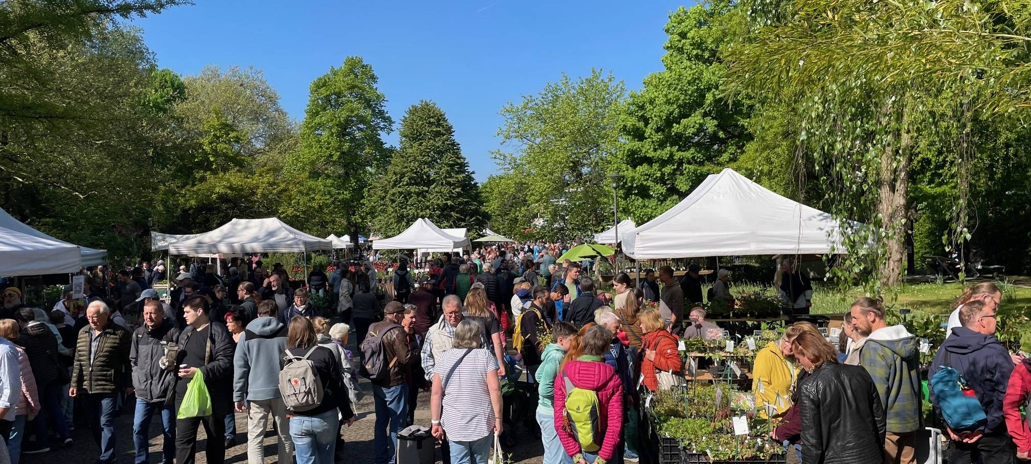 Markt in Essen verkauft wieder seltene Pflanzen