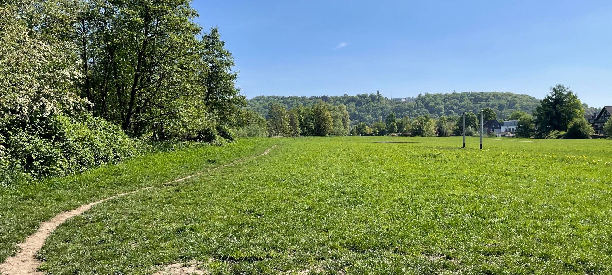 In Essen gibt es Erste-Hilfe-Kurse für den Hund