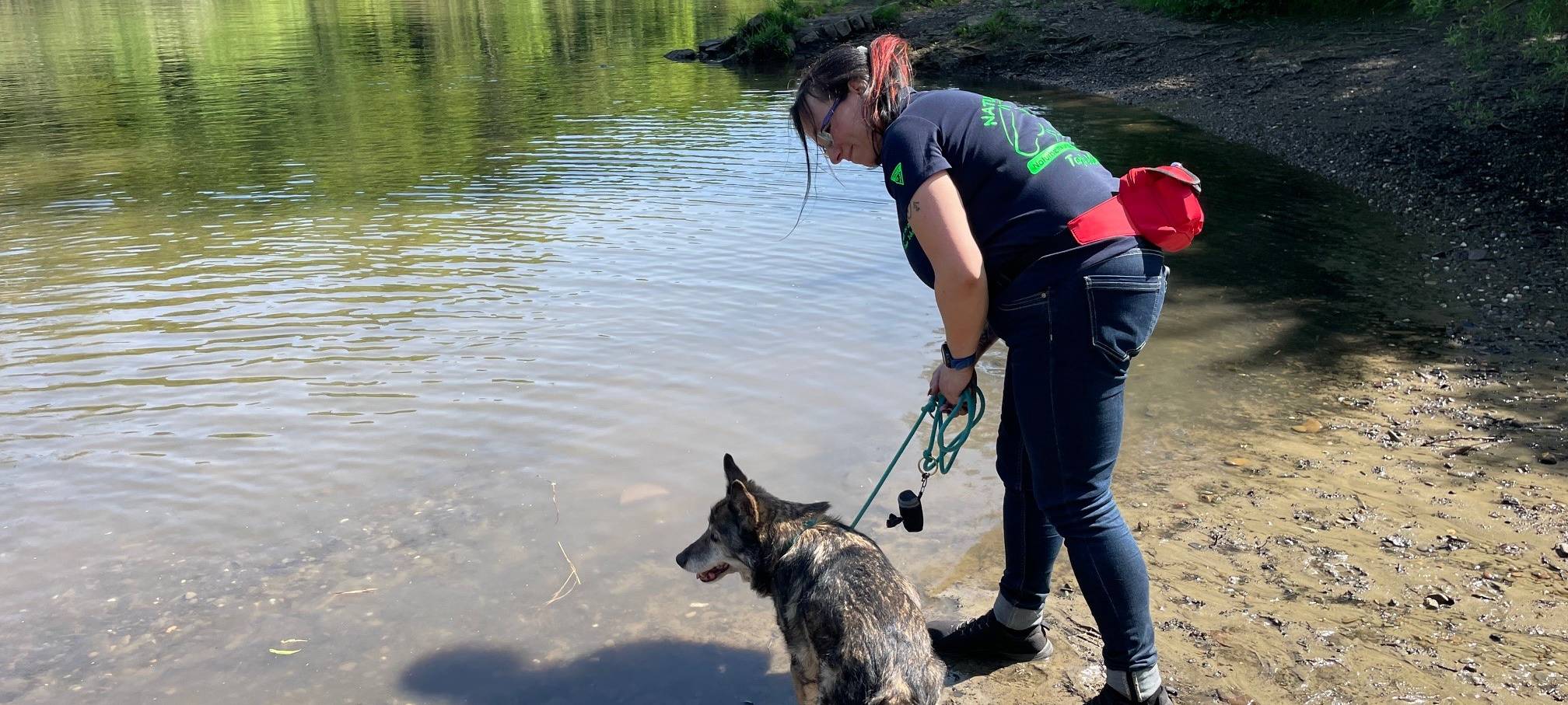 In Essen gibt es Erste-Hilfe-Kurse für den Hund