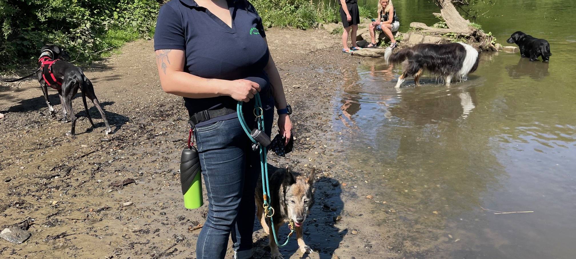 In Essen gibt es Erste-Hilfe-Kurse für den Hund