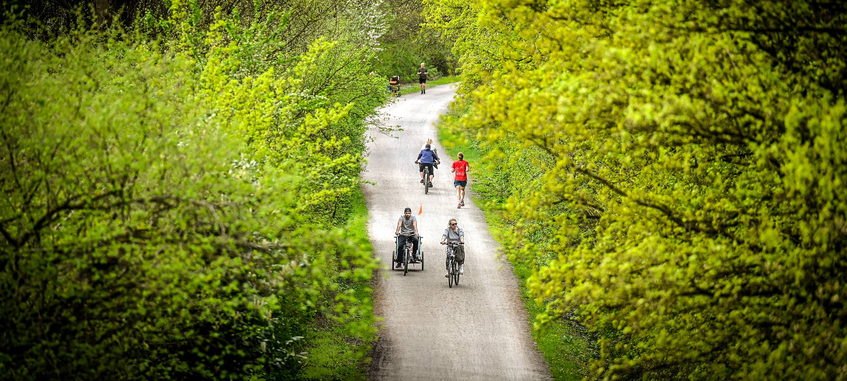 Stadt Essen baut beliebten Radweg aus