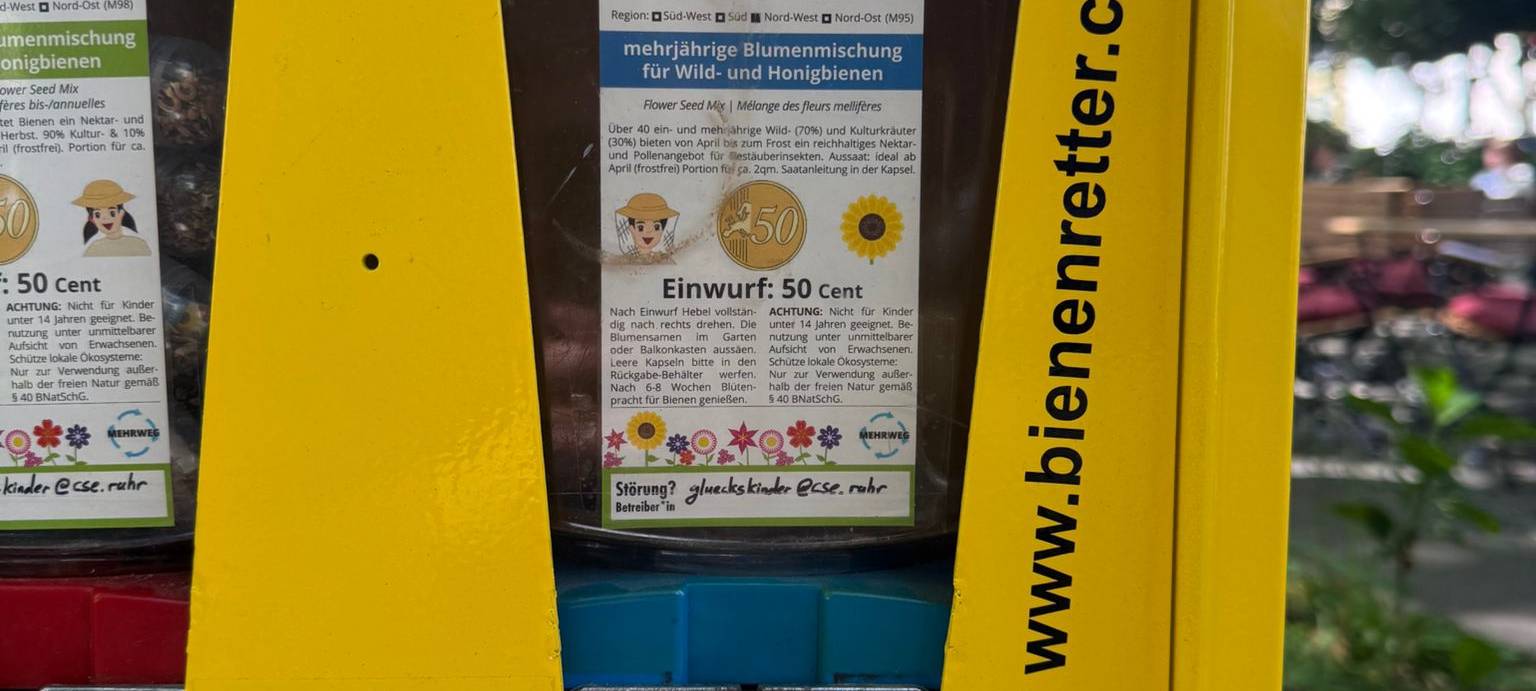 Ein-/ Zweijährige Blumenmischung für Wild- und Honigbienen.