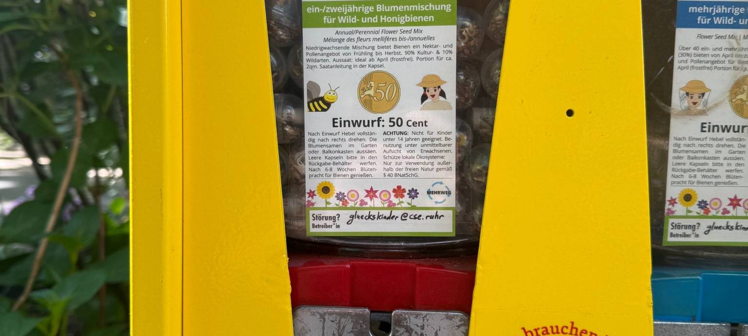 Ein-/ Zweijährige Blumenmischung für Wild- und Honigbienen.