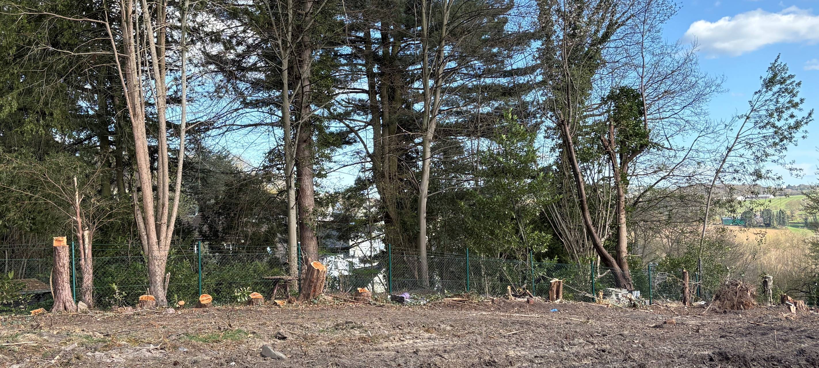 Ärger in Essen über neue Häuser - Anwohner besorgt