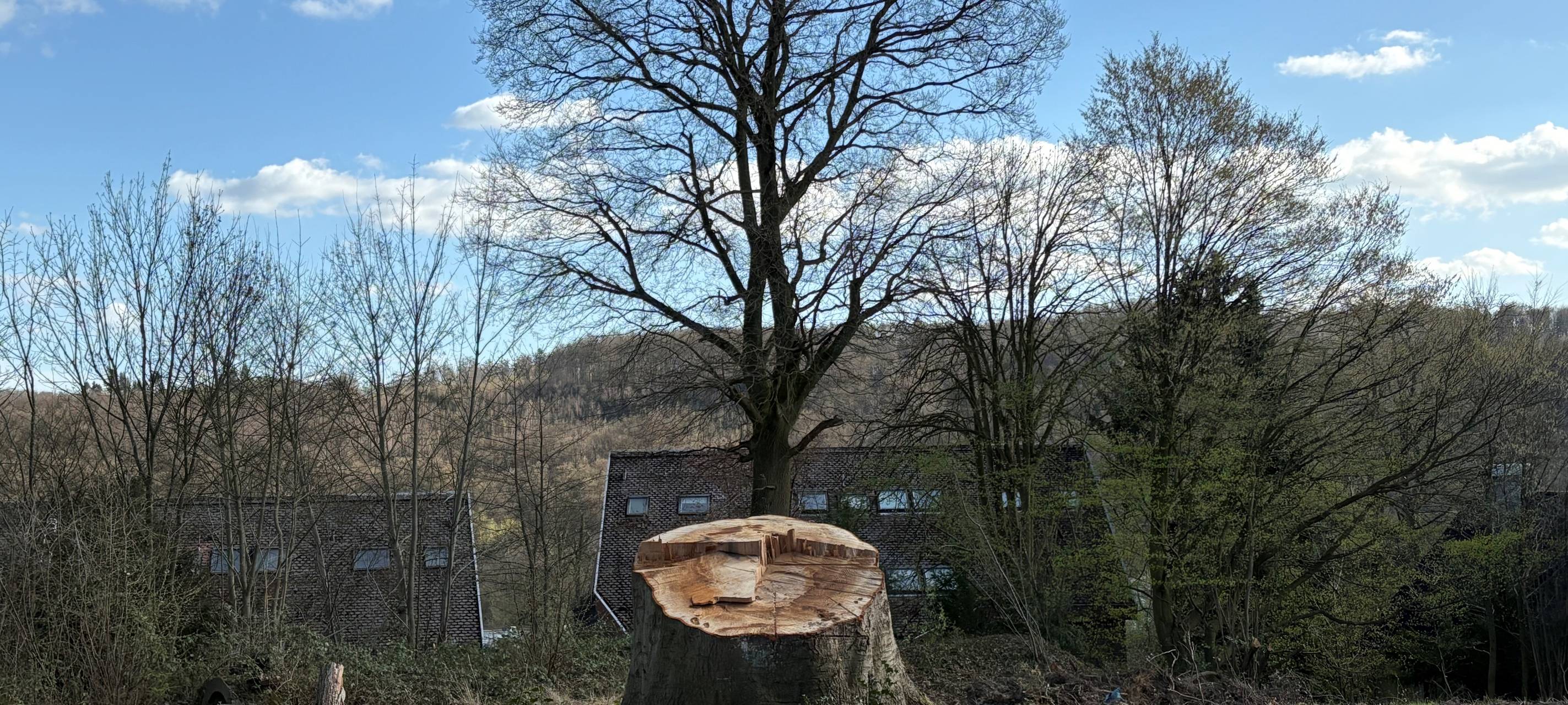 Ärger in Essen über neue Häuser - Anwohner besorgt