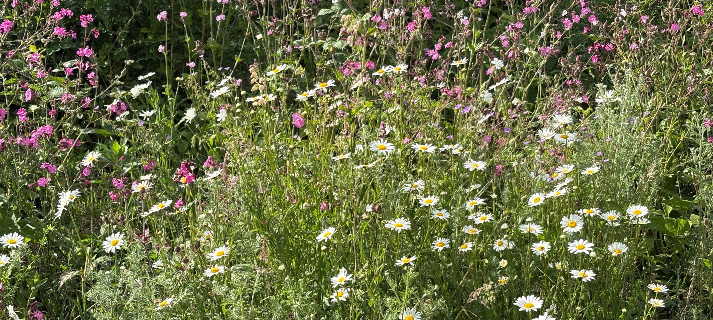 Ungebetene Gäste in Essen sorgen für viel Arbeit