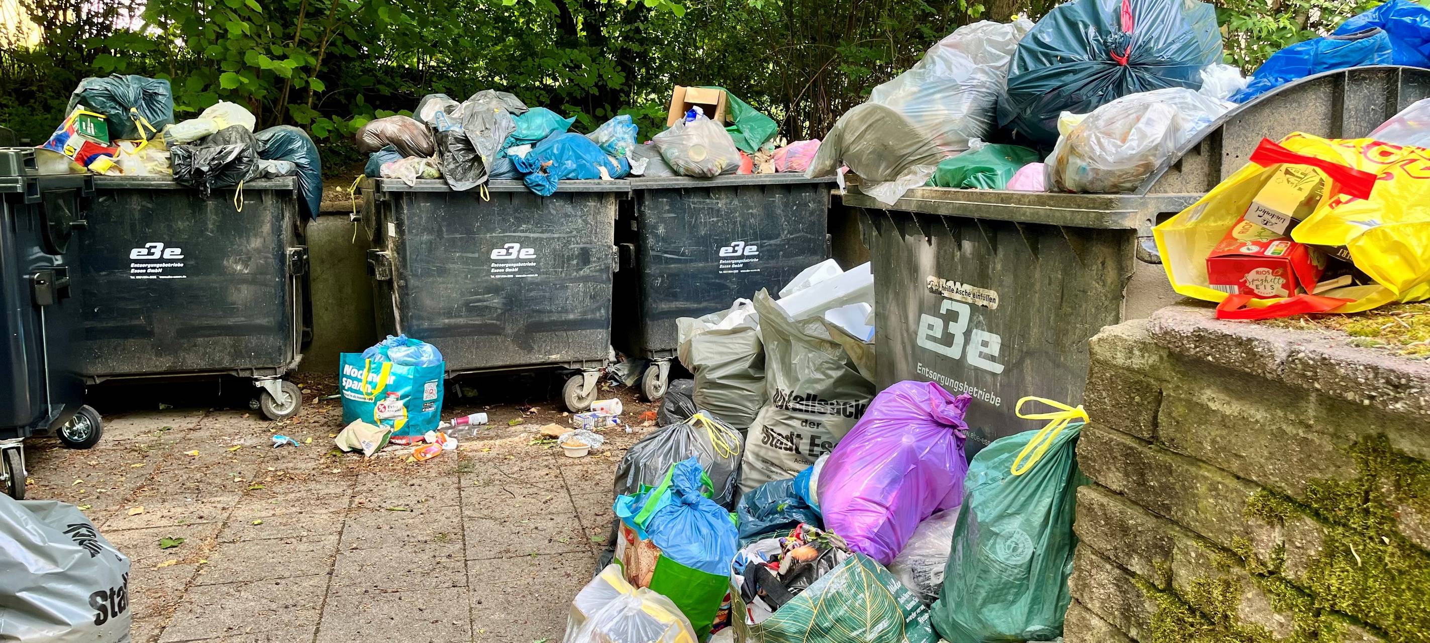 Ratte springt Mutter aus Essen an