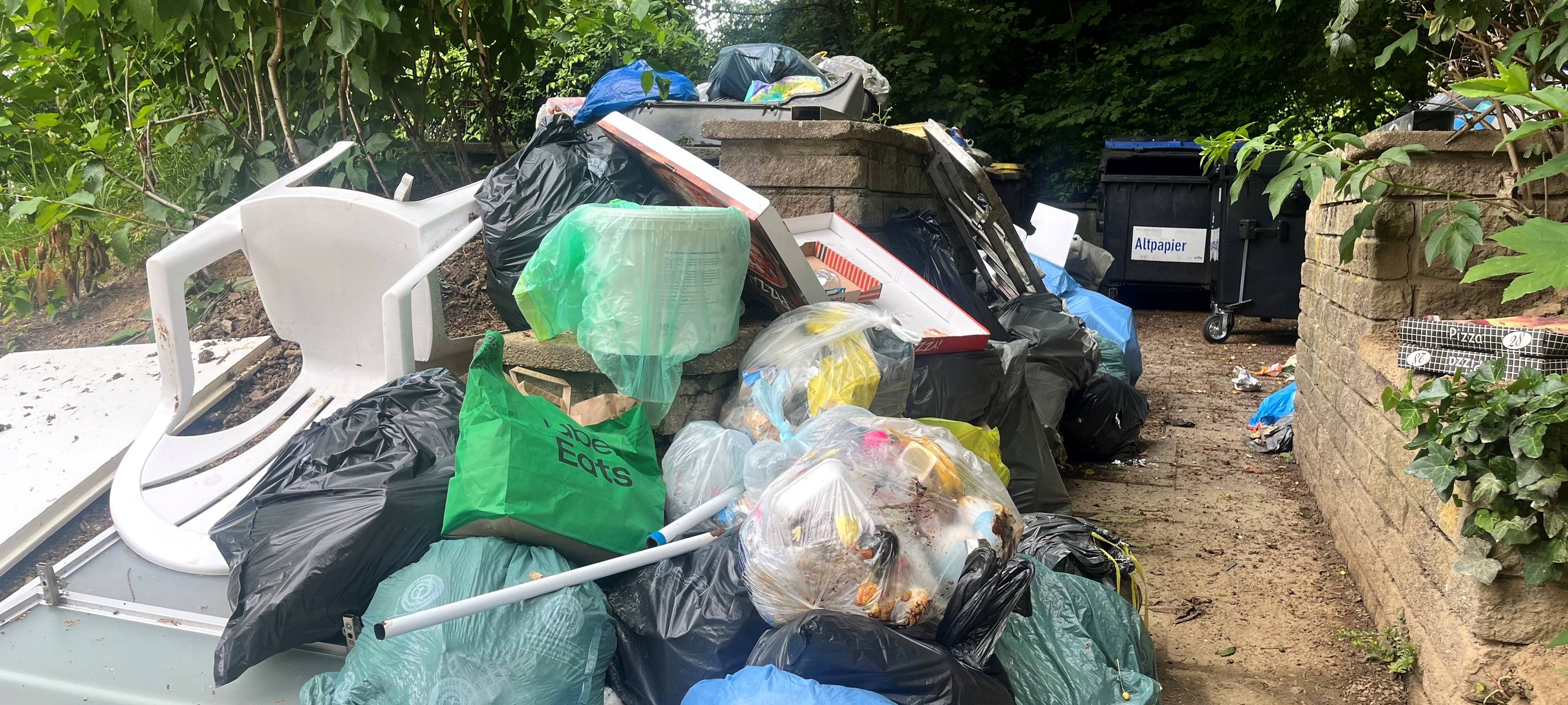 Ratte springt Mutter aus Essen an