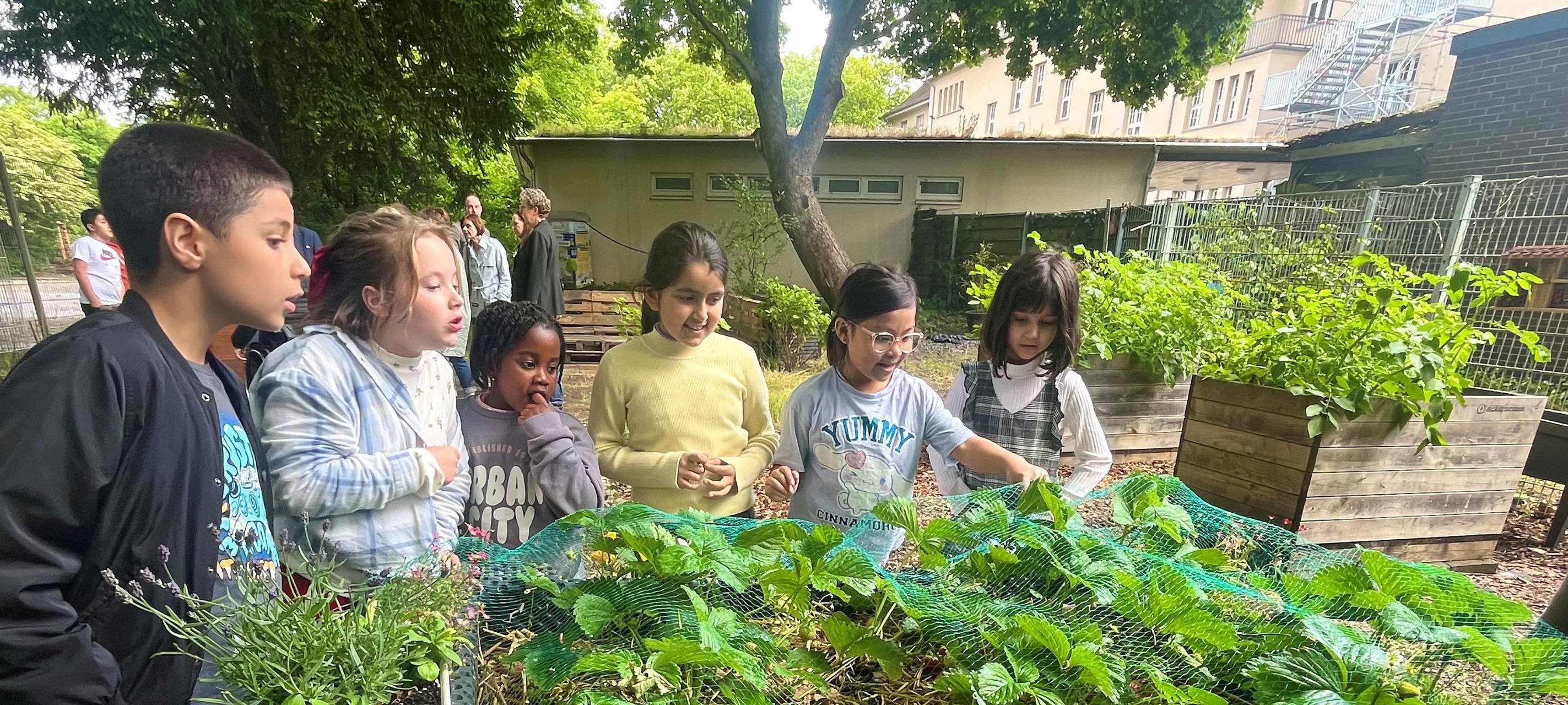 Lions-Club Essen unterstützt Hüttmannschule mit Schulgarten-Projekt und Spenden