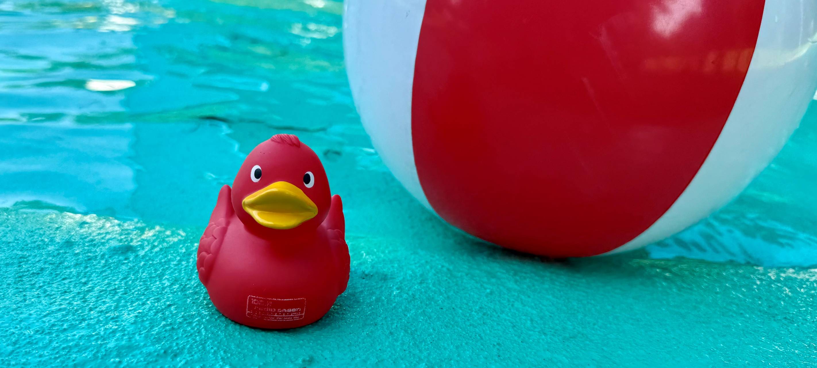 Verein in Essen bietet kostenlose Schwimmkurse an