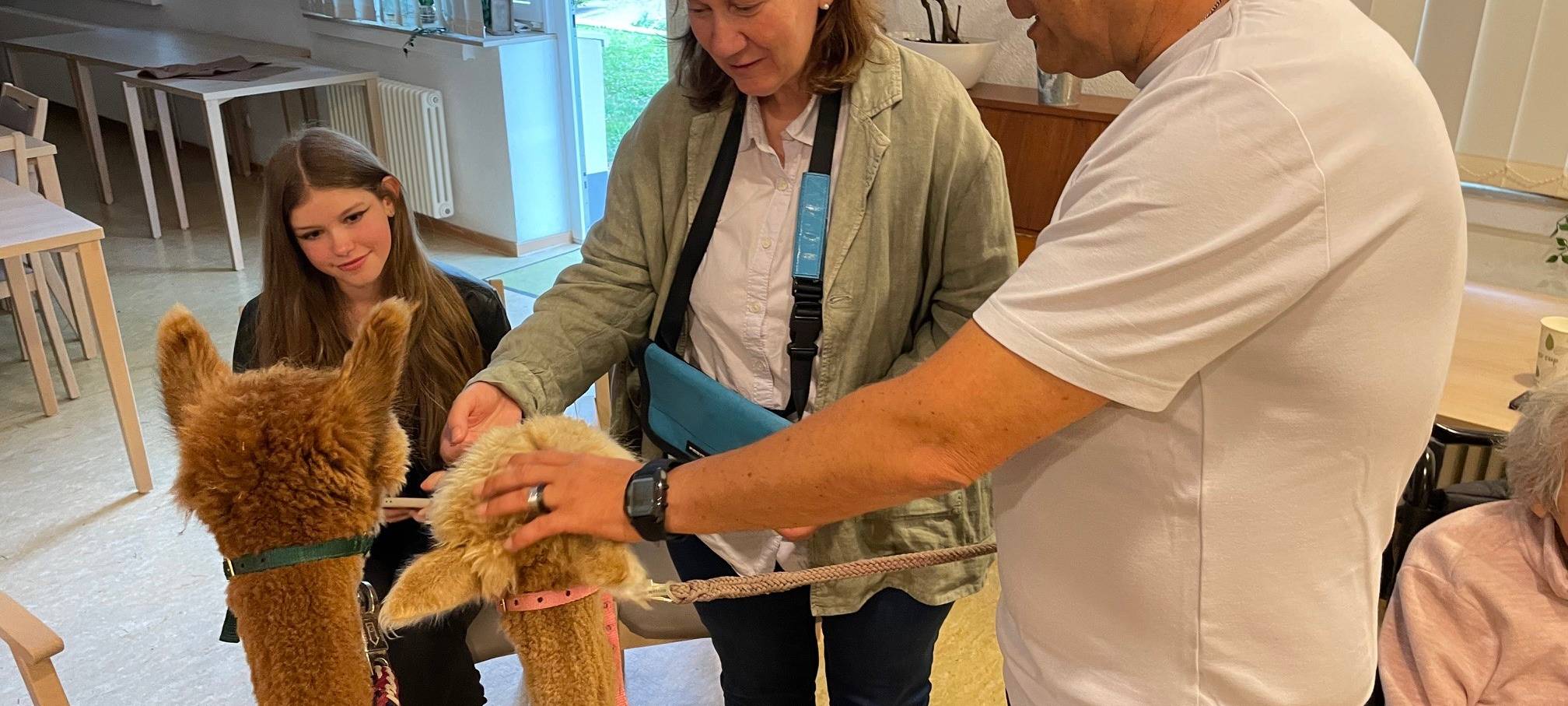 Alpakas zu Besuch in einem Altenheim in Essen