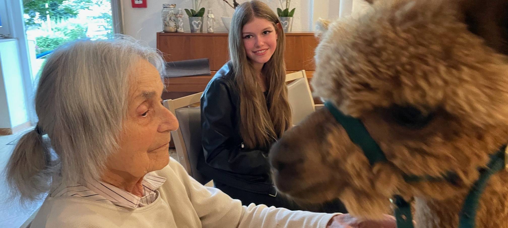 Alpakas zu Besuch in einem Altenheim in Essen