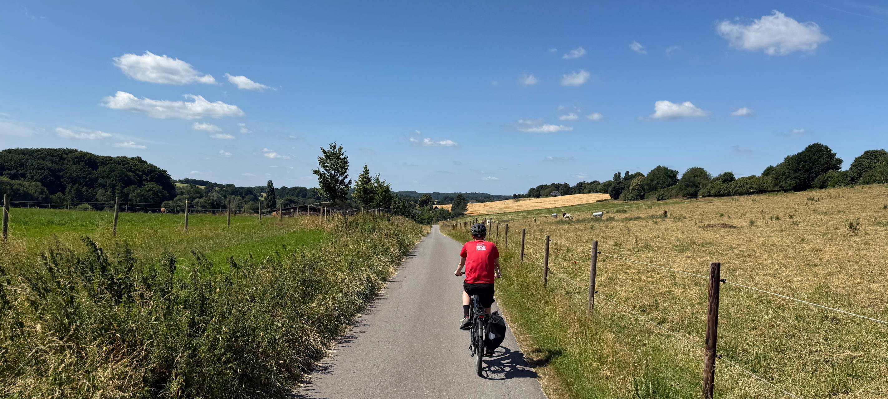 Die Radio Essen-Fahrradwette: In 80 Kilometern um die Stadt