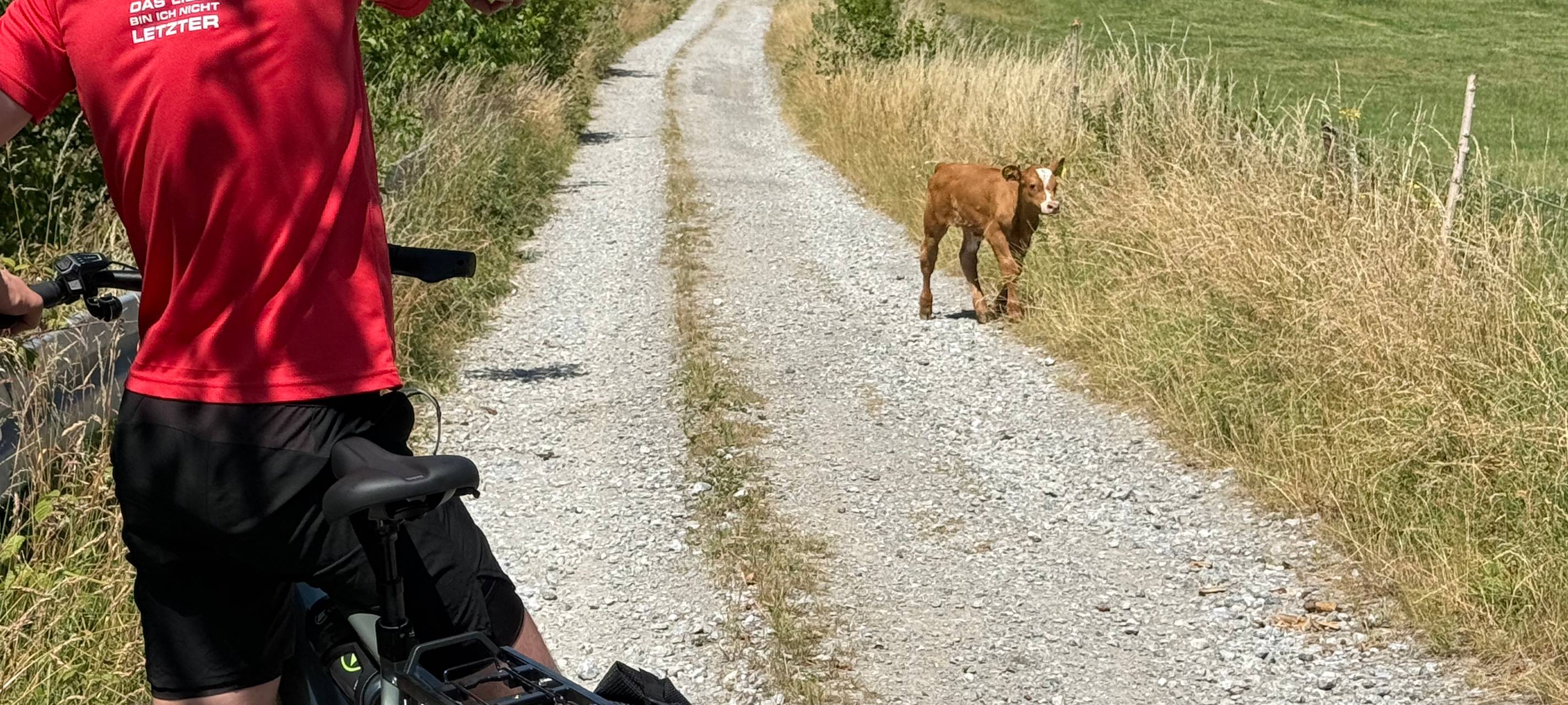 Die Radio Essen-Fahrradwette: In 80 Kilometern um die Stadt