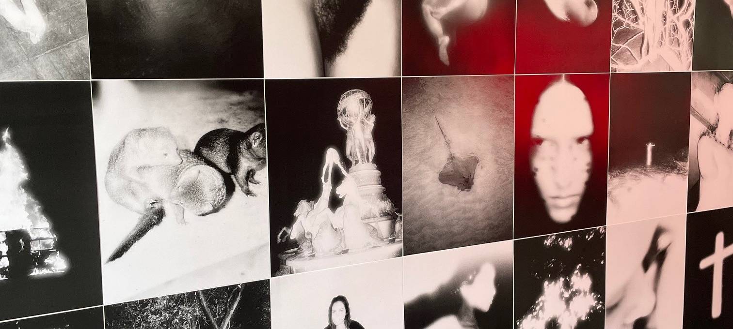 New York, Dubai, Paris, Essen: Star-Fotograf wieder Zuhause