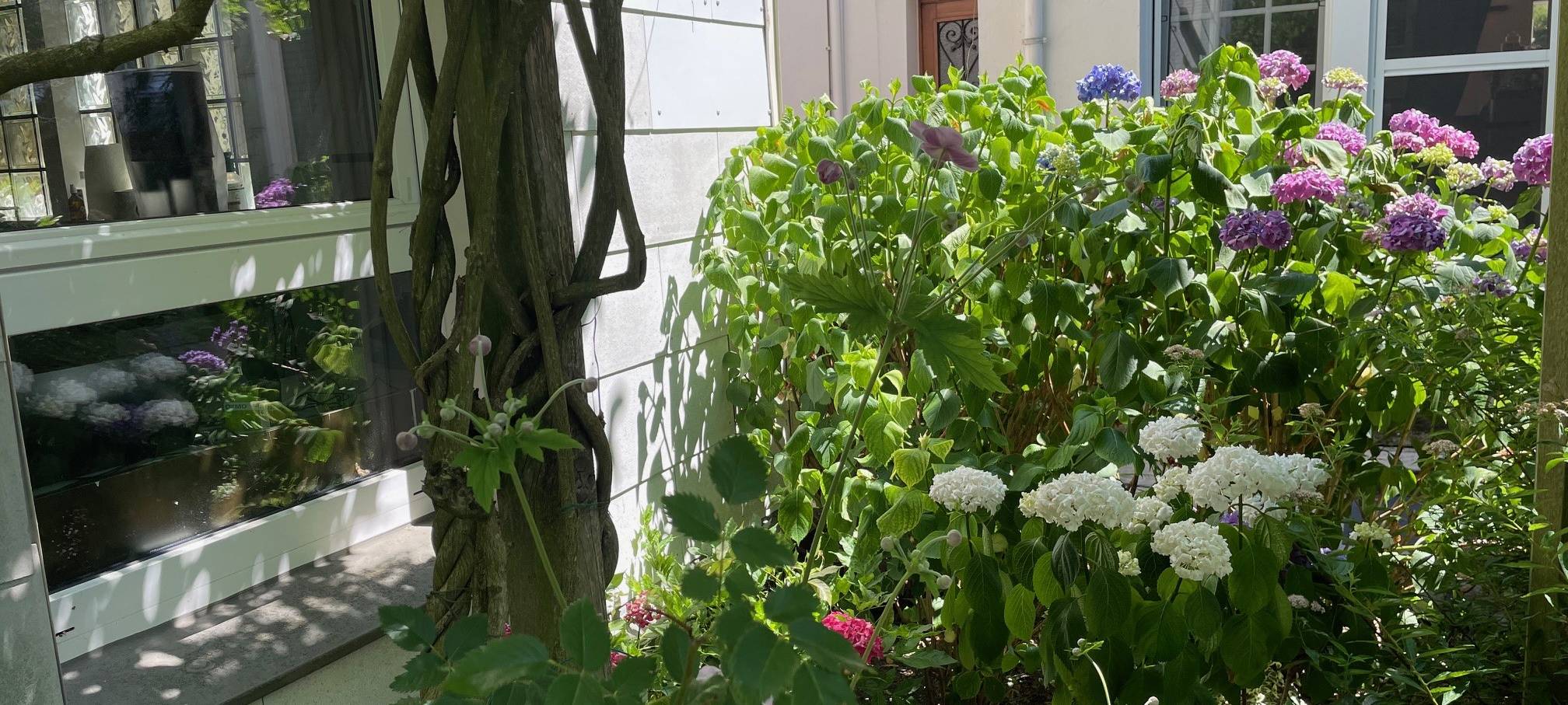 Ältestes Unternehmen in Essen feiert Geburtstag