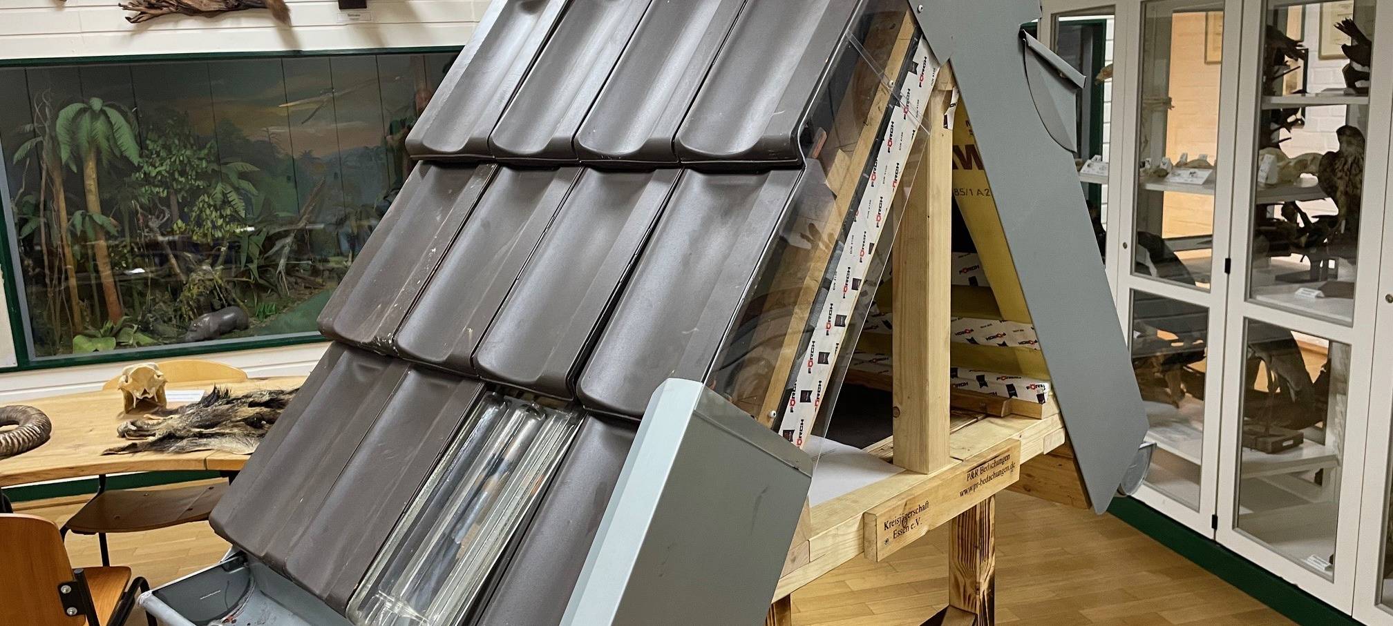 Marder-Problem in Essen - Experte gibt Tipps