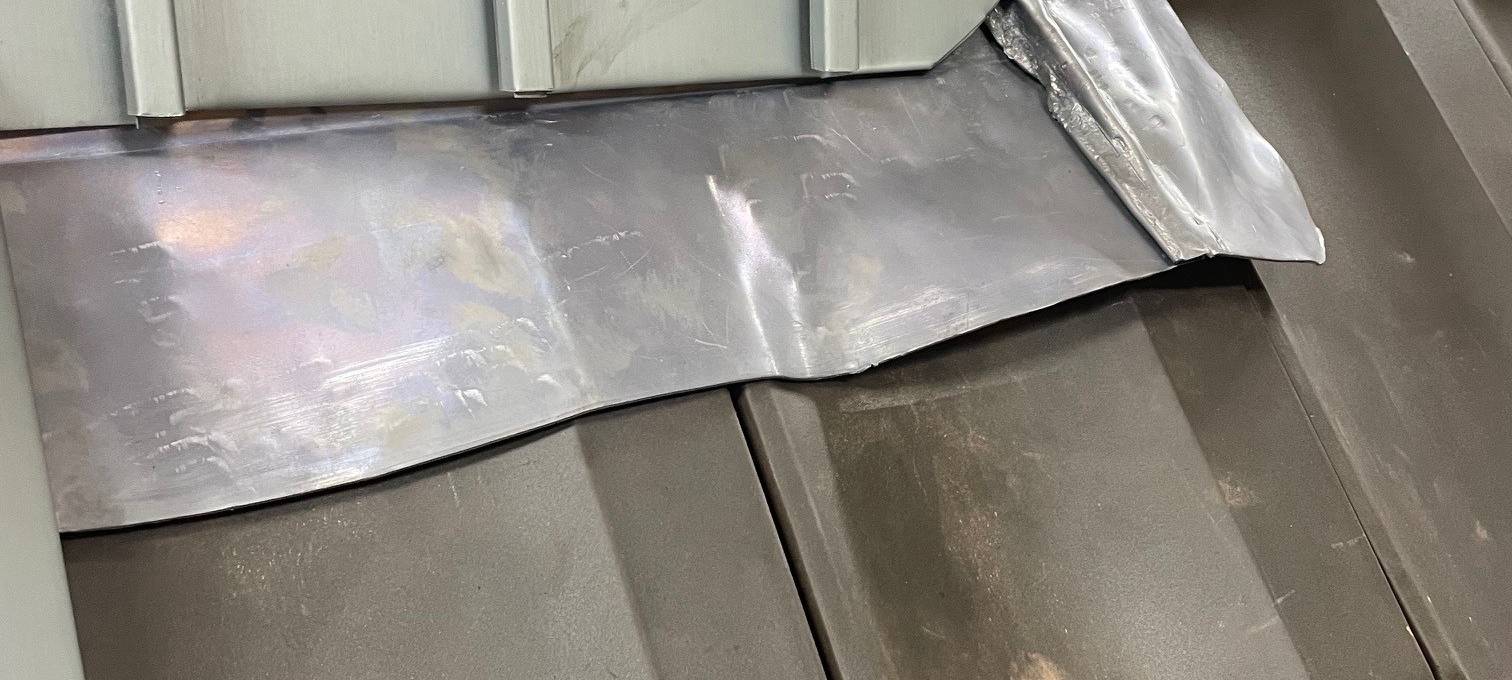 Marder-Problem in Essen - Experte gibt Tipps