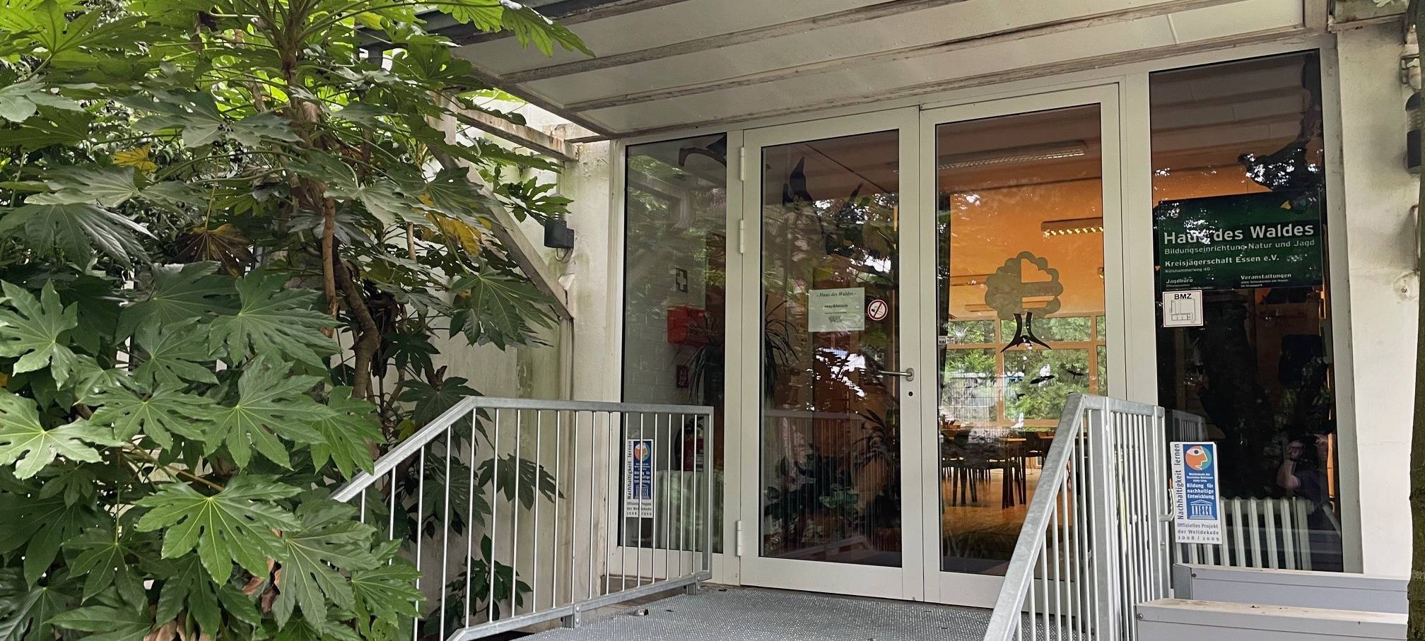 Marder-Problem in Essen - Experte gibt Tipps