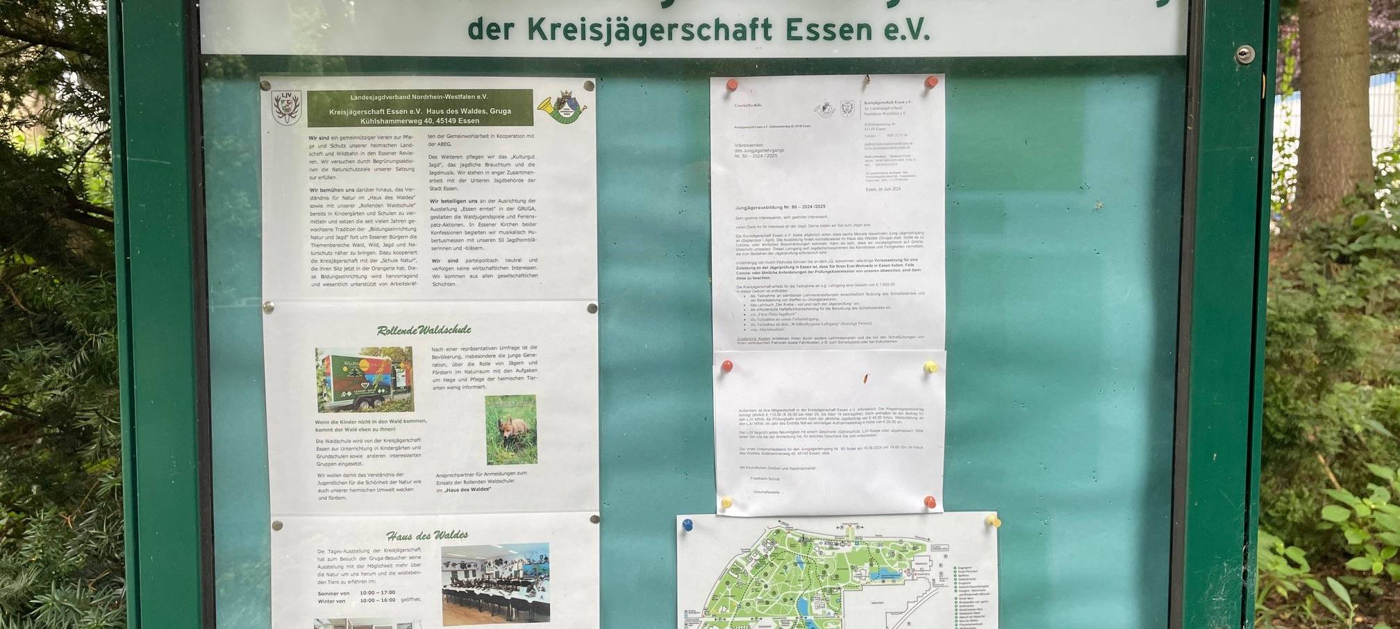 Marder-Problem in Essen - Experte gibt Tipps