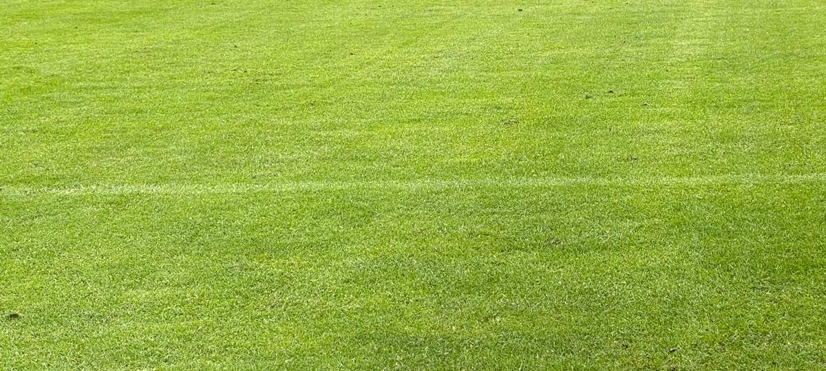 Rot-Weiss Essen im Trainingslager - Radio Essen ist dabei