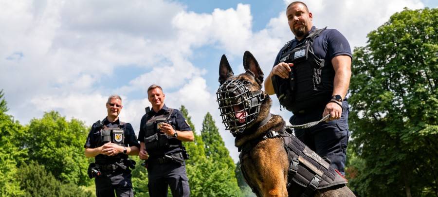 Ordnungsamt Essen bekommt Unterstützung auf vier Pfoten