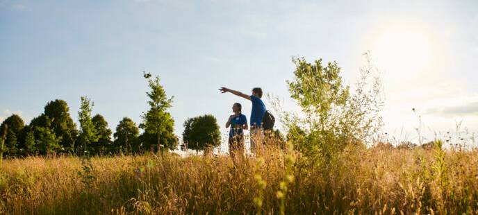 Renaturierung in Essen: Der Sälzerbach wird wieder ein natürlicher Fluss