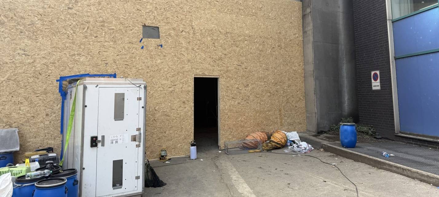 Nach Sperrung in Essen: Tauben aus Tunnel umgesiedelt