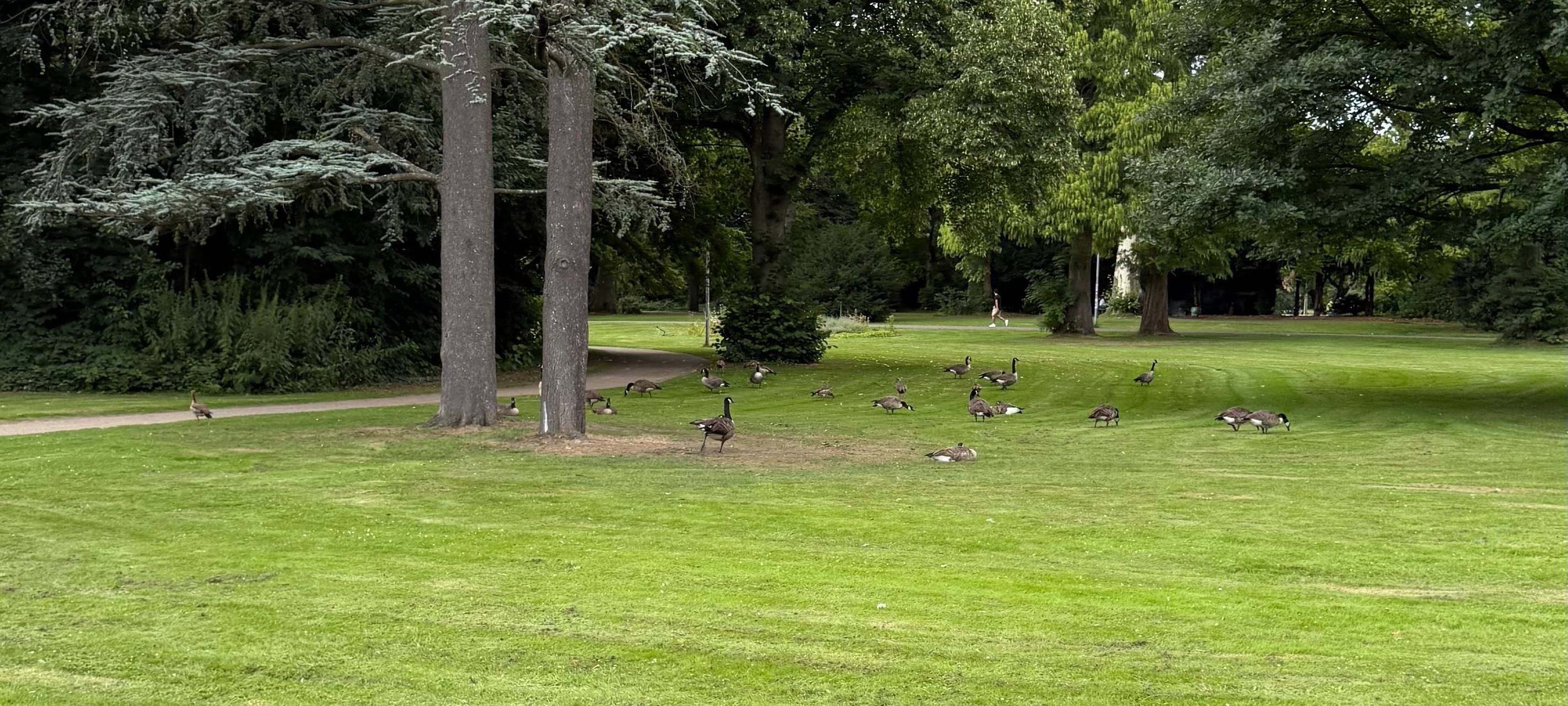 OB-Kandidaten für Essen ganz privat – die Radio Essen-Homestorys