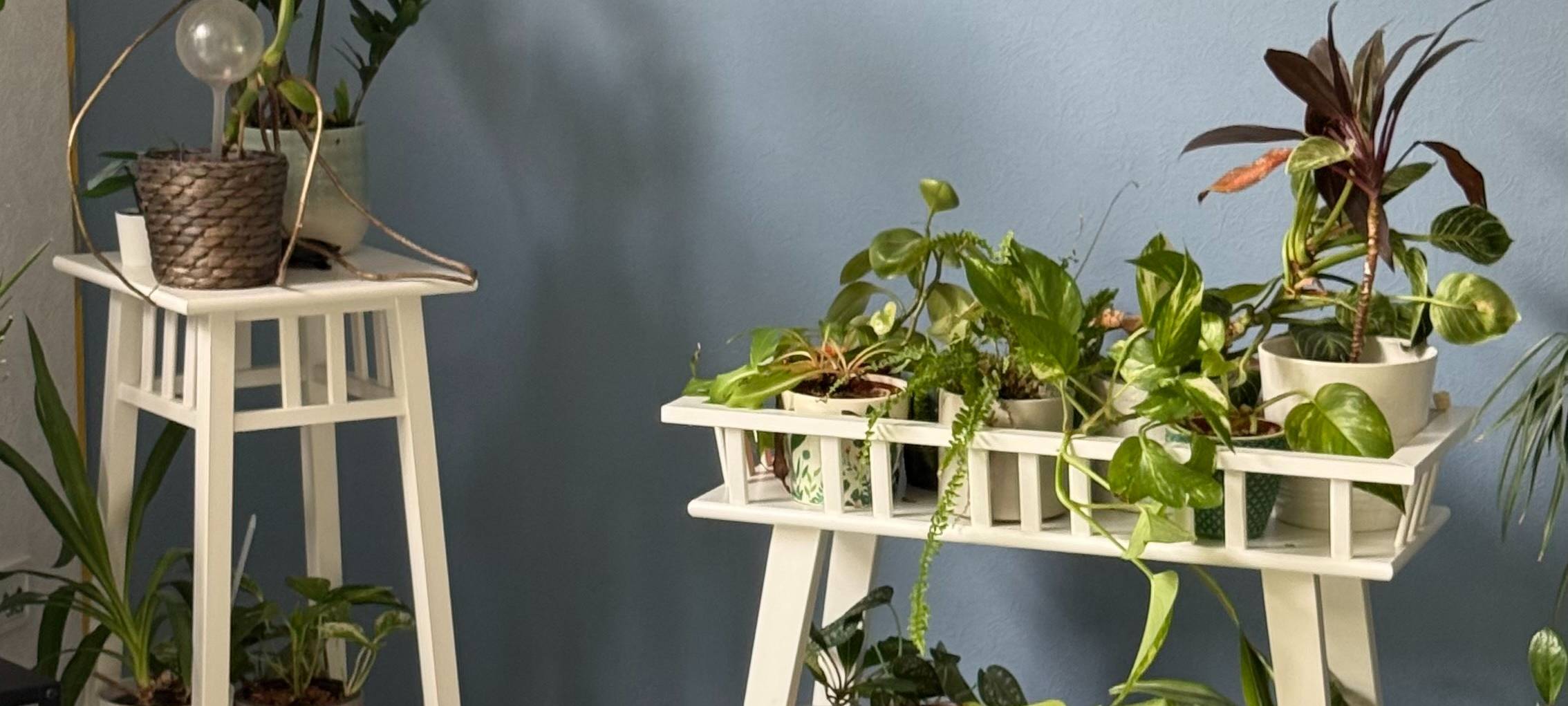 OB-Kandidaten für Essen ganz privat – die Radio Essen-Homestorys