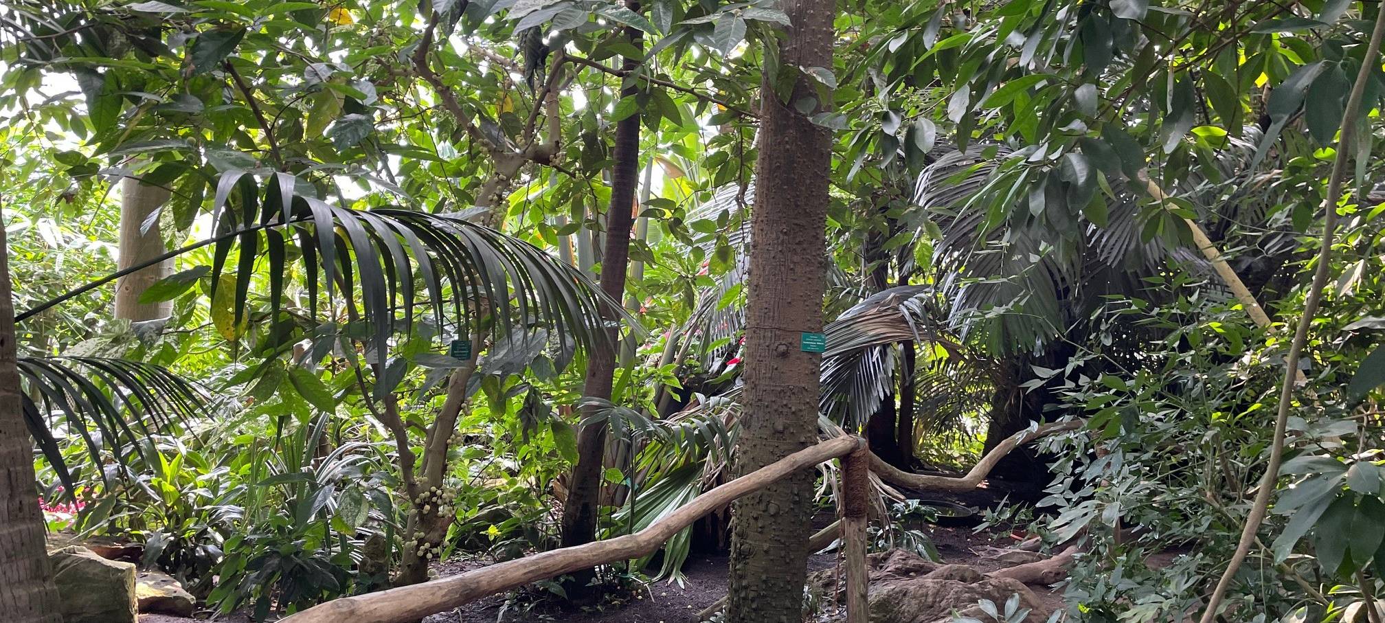 365 Tage in Essen bei tropischen Temperaturen - eine schweißtreibende Arbeit