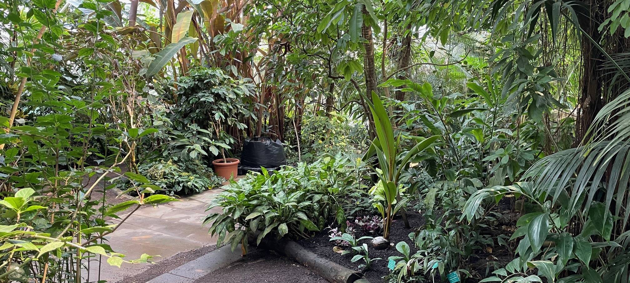 365 Tage in Essen bei tropischen Temperaturen - eine schweißtreibende Arbeit