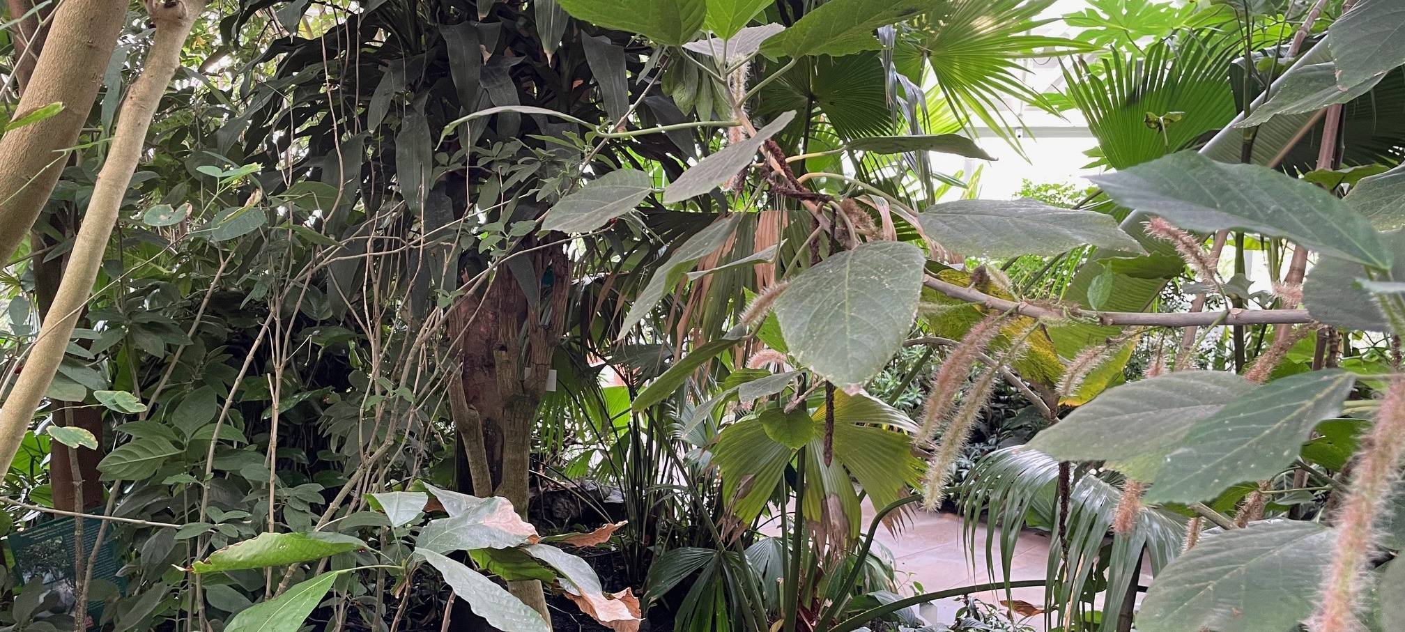 365 Tage in Essen bei tropischen Temperaturen - eine schweißtreibende Arbeit