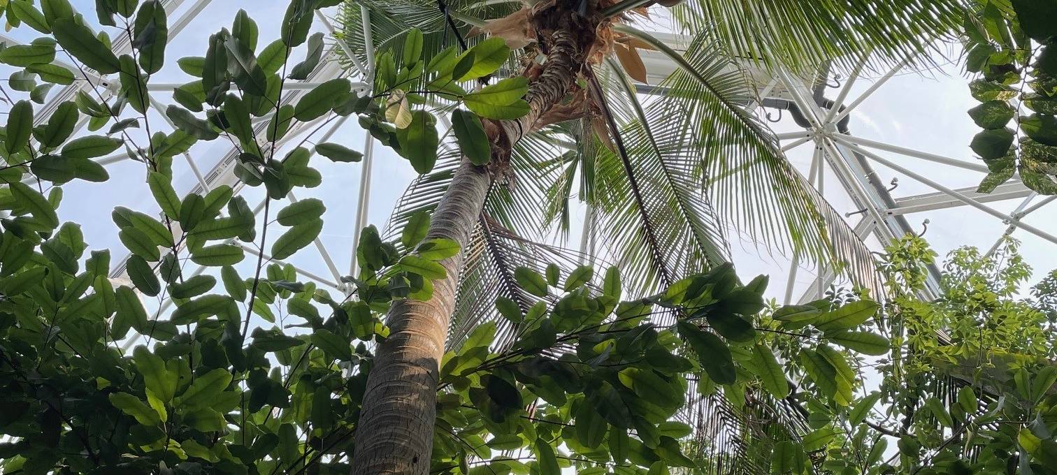365 Tage in Essen bei tropischen Temperaturen - eine schweißtreibende Arbeit