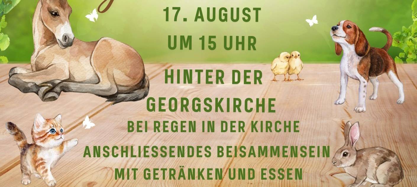 Ökumenischer Tier-Gottesdienst in Essen: Hier könnt Ihr Eure Haustiere segnen lassen