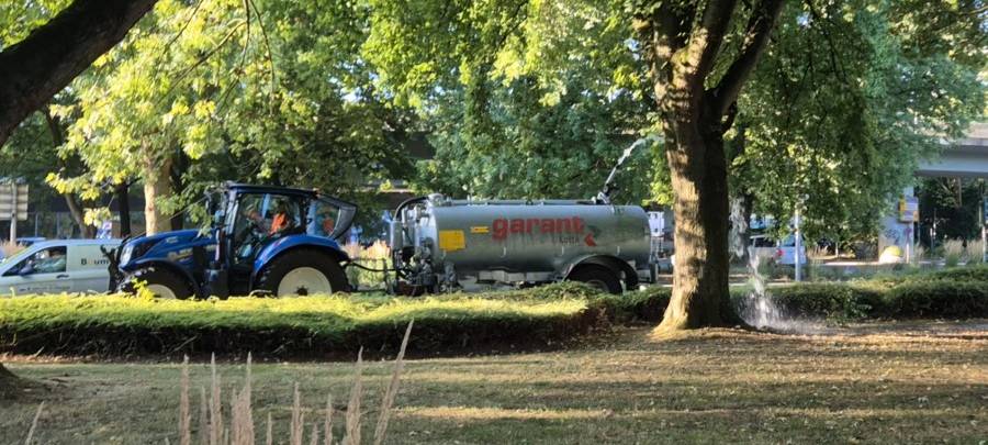 Bäume in Essen bekommen Extra-Wasser