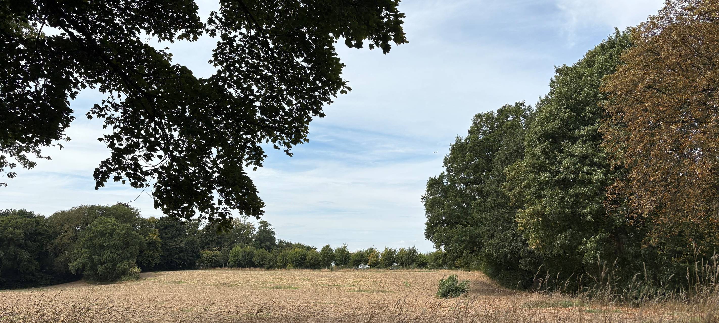 Forensik in Essen soll neu gebaut werden - Anwohner sorgen sich