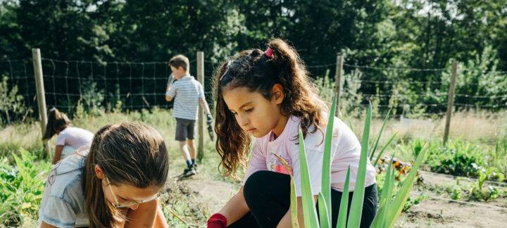 Essen: Krupp-Stiftung startet neues Förderprogramm „ImPulsRuhr“
